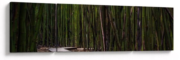 Obraz - Wśród bambusów (170x50 cm)