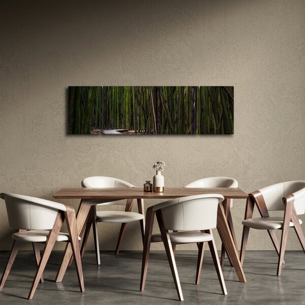 Obraz - Wśród bambusów (170x50 cm)