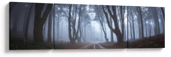 Obraz - W deszczowy dzień (170x50 cm)