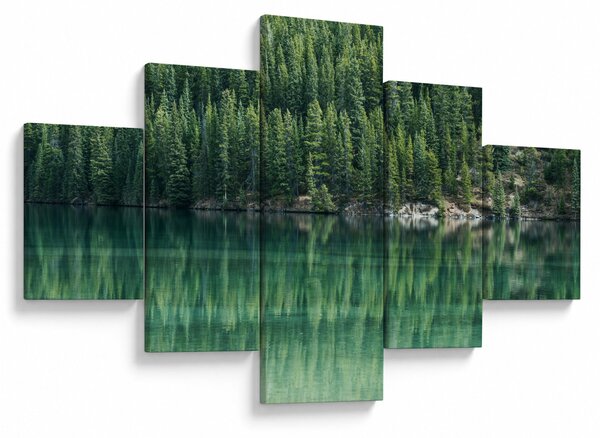 Obraz - drzewa iglaste nad jeziorem (125x70 cm)