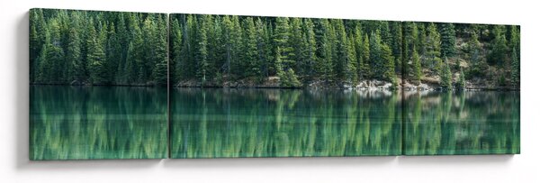 Obraz - drzewa iglaste nad jeziorem (170x50 cm)