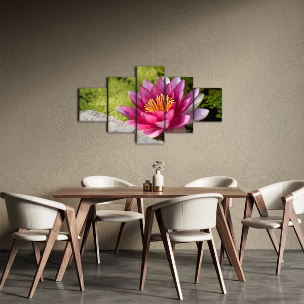 Obraz - Lilia wodna (125x70 cm)