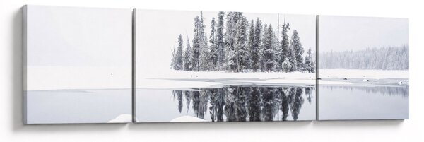 Obraz - Było biało (170x50 cm)