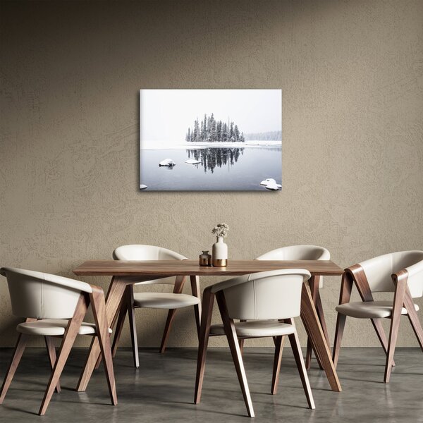 Obraz - Było biało (70x50 cm)