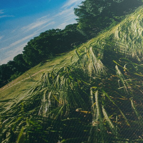 Obraz łąki i lasu (125x70 cm)
