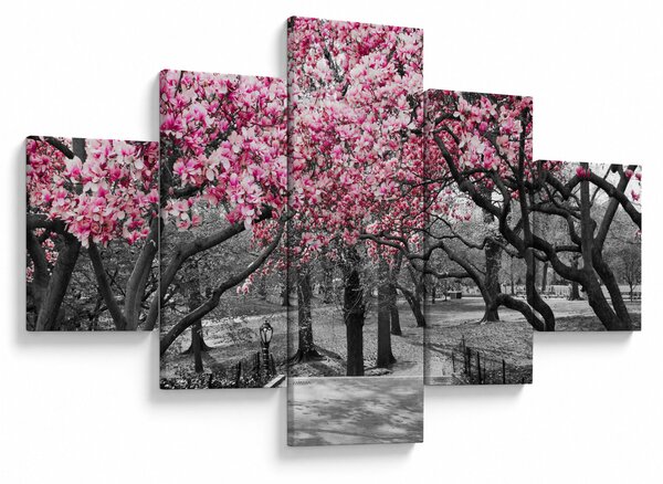 Obraz drzew magnolii (125x70 cm)