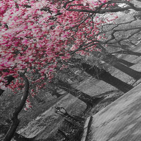 Obraz drzew magnolii (170x50 cm)