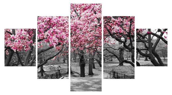 Obraz drzew magnolii (125x70 cm)