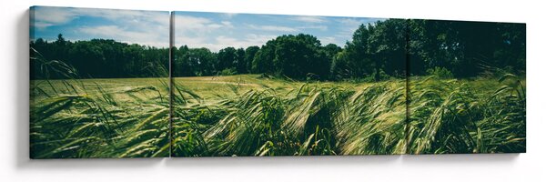 Obraz łąki i lasu (170x50 cm)