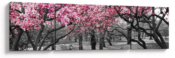Obraz drzew magnolii (170x50 cm)