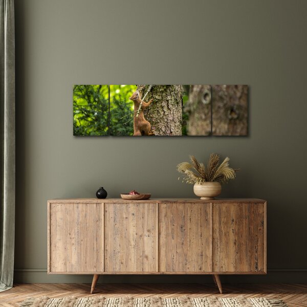 Obraz - wiewiórka (170x50 cm)