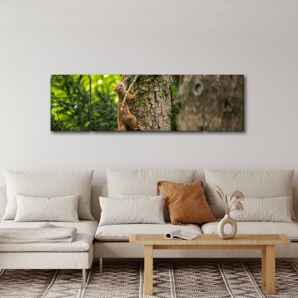 Obraz - wiewiórka (170x50 cm)