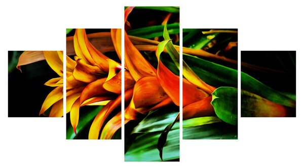 Obraz pomarańczowego kwiatu (125x70 cm)
