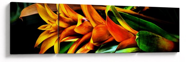 Obraz pomarańczowego kwiatu (170x50 cm)