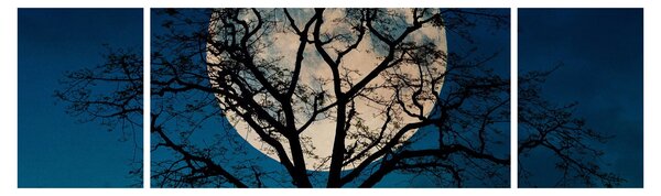 Obraz drzewa z pełnią księżyca (170x50 cm)