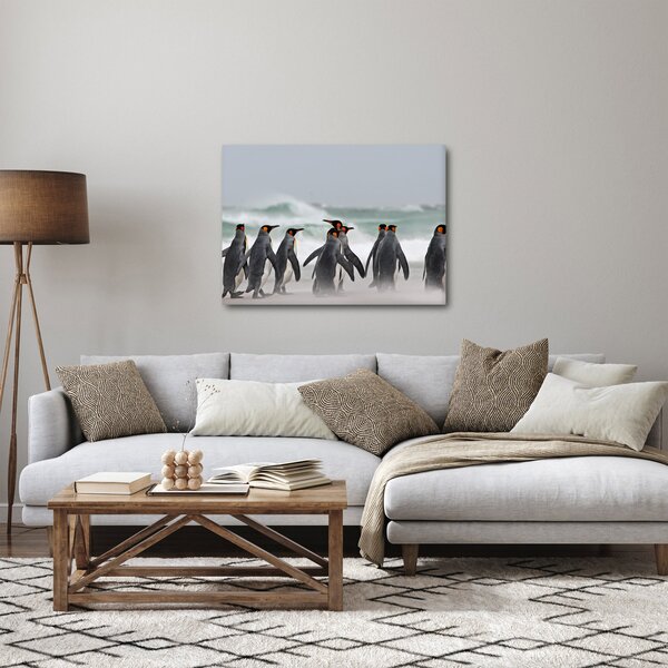 Obraz pingwinów nad oceanem (70x50 cm)