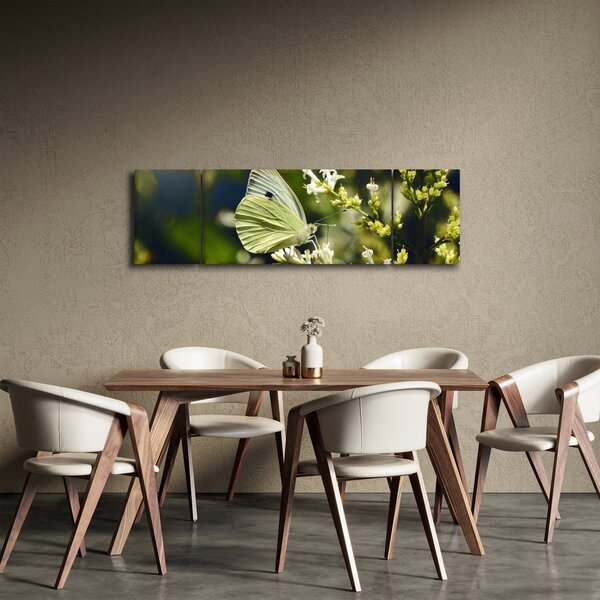 Obraz motyla (170x50 cm)