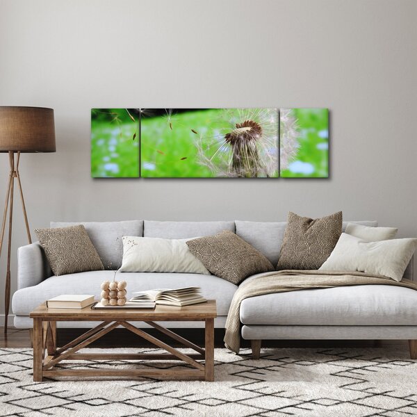 Obraz dmuchawca (170x50 cm)