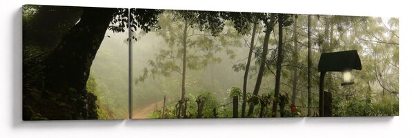 Obraz porannej mgły (170x50 cm)