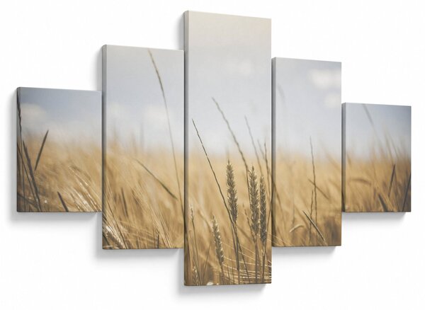 Obraz ziarna (125x70 cm)