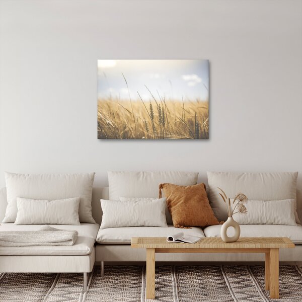 Obraz ziarna (70x50 cm)