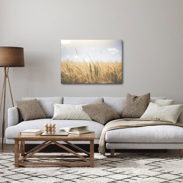 Obraz ziarna (70x50 cm)