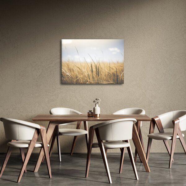 Obraz ziarna (70x50 cm)