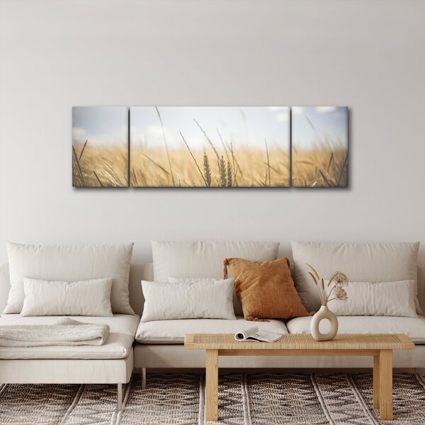 Obraz ziarna (170x50 cm)