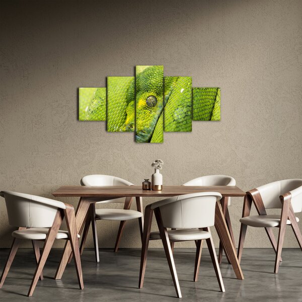 Obraz węża (125x70 cm)