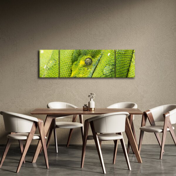 Obraz węża (170x50 cm)