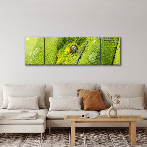 Obraz węża (170x50 cm)