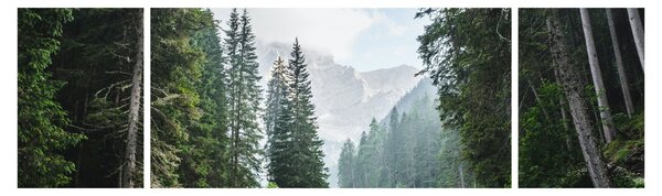 Obraz leśnego jeziora (170x50 cm)