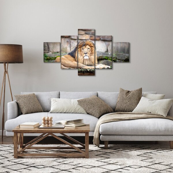 Obraz lwa (125x70 cm)