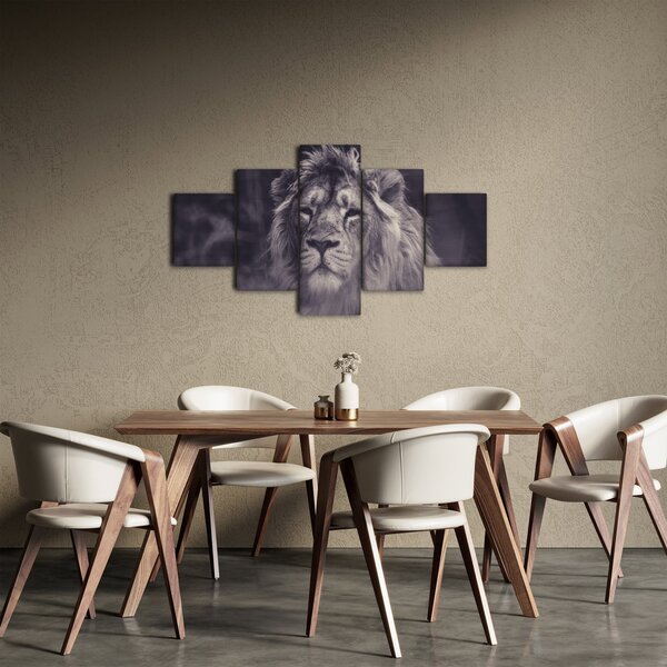 Obraz lwa (125x70 cm)