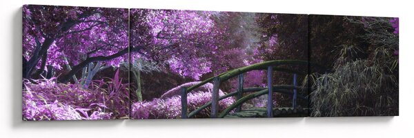 Obraz fioletowego ogrodu (170x50 cm)