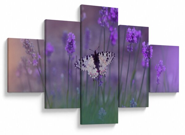Obraz - Motyl w lawendach (125x70 cm)
