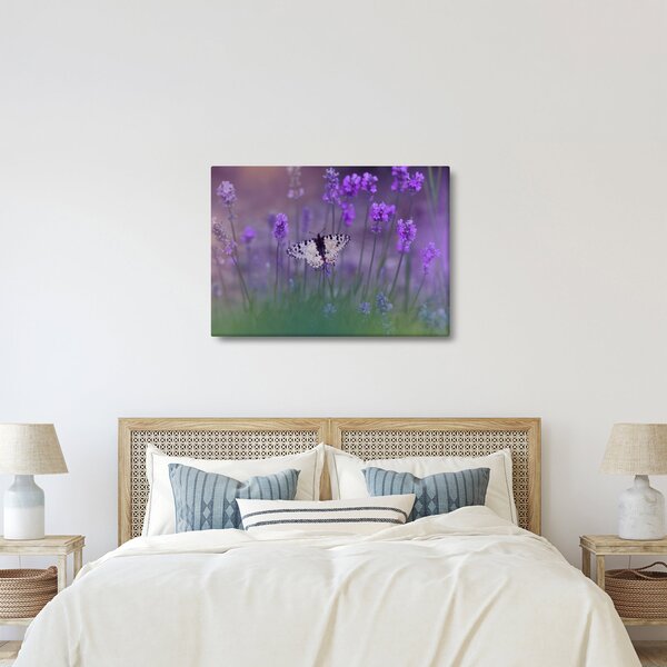 Obraz - Motyl w lawendach (70x50 cm)