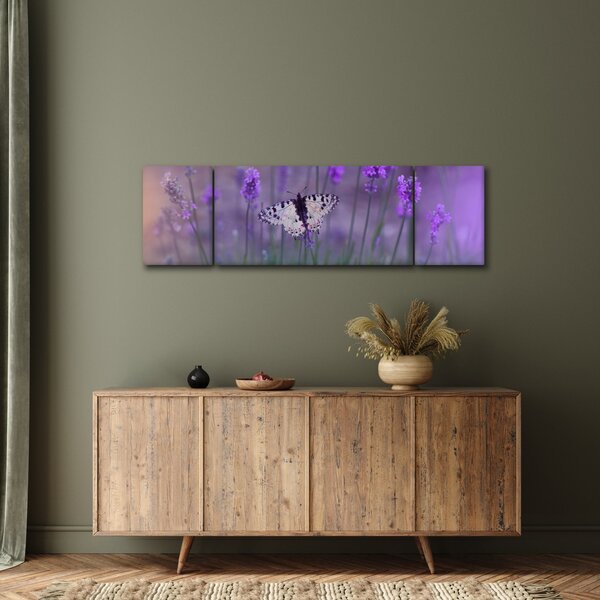Obraz - Motyl w lawendach (170x50 cm)