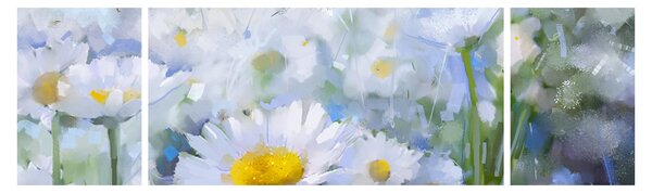 Obraz - W stokrotkach (170x50 cm)