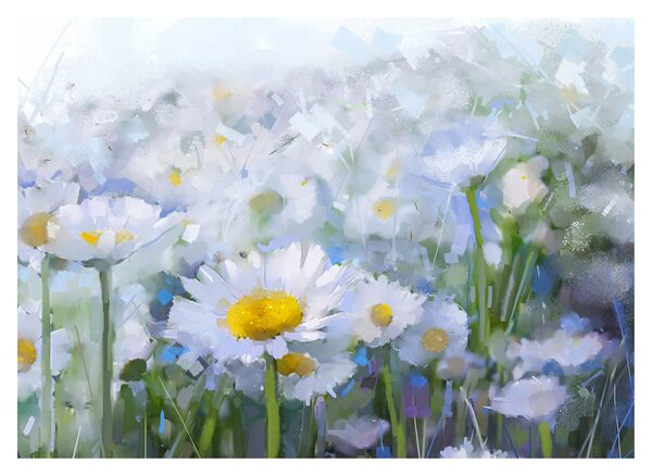 Obraz - W stokrotkach (70x50 cm)