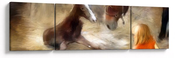 Obraz - Witaj na świecie, źrebaku (170x50 cm)