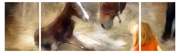 Obraz - Witaj na świecie, źrebaku (170x50 cm)
