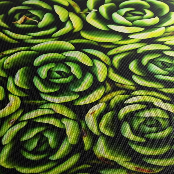 Obraz bez grzywki (70x50 cm)