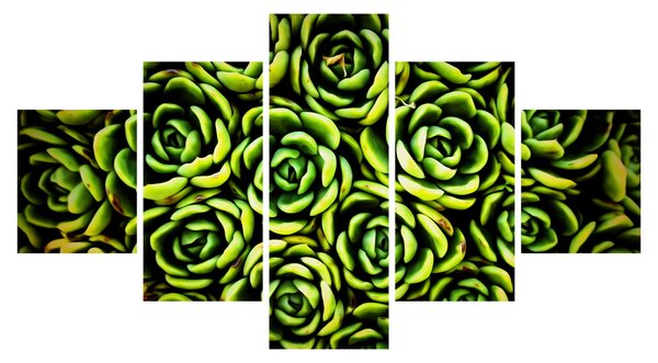 Obraz bez grzywki (125x70 cm)