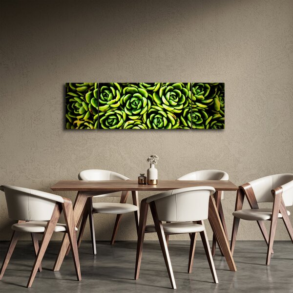 Obraz bez grzywki (170x50 cm)
