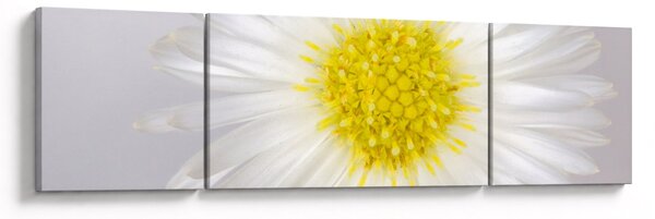 Obraz - Margarita (170x50 cm)