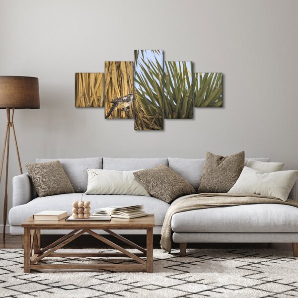 Obraz - Strzyżyk (125x70 cm)