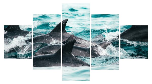 Obraz - Delfiny w oceanie (125x70 cm)