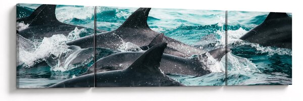 Obraz - Delfiny w oceanie (170x50 cm)