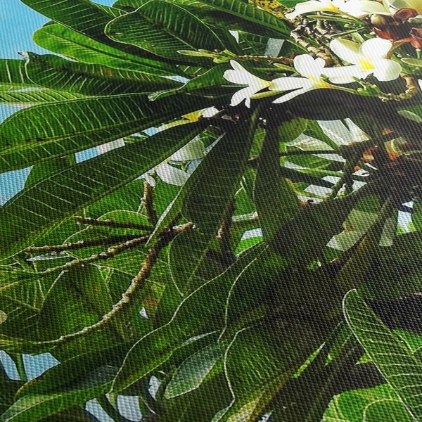 Obraz - Plumeria (170x50 cm)